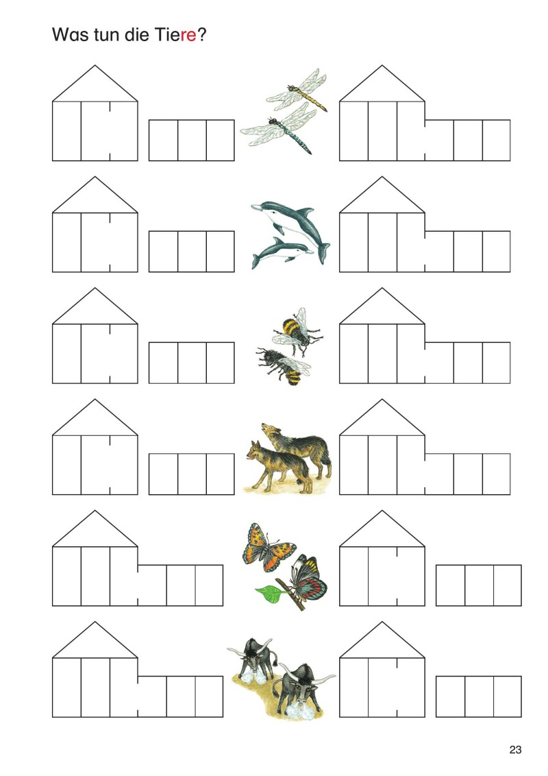 ABC der Tiere 1 - Schulbuch: Arbeitsheft - Spontane Schreibung der Doppelkonsonanten