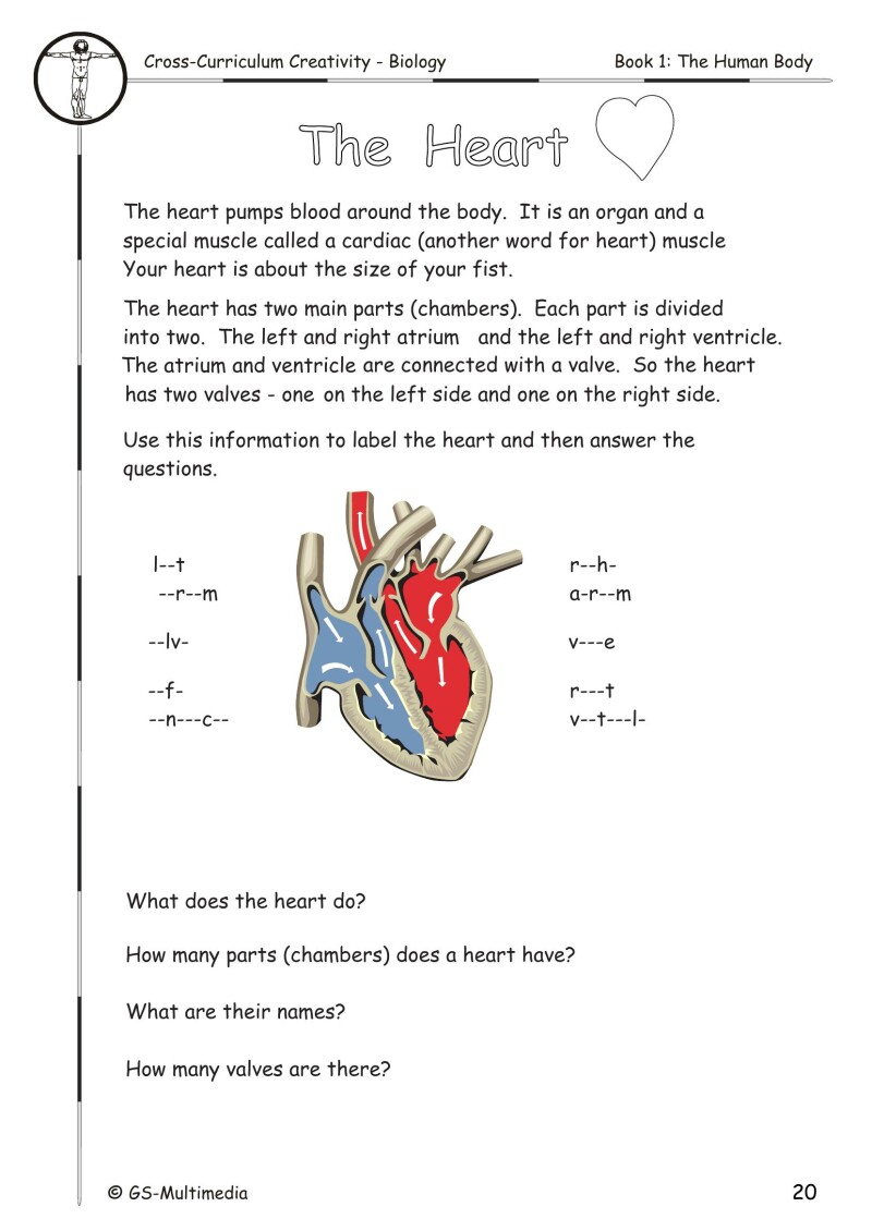 Cross Curriculum Creativity – Biology – Book 1: The Human Body