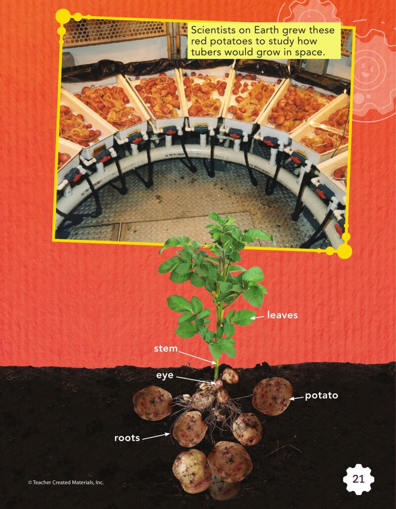 A2 – Growing Plants in Space