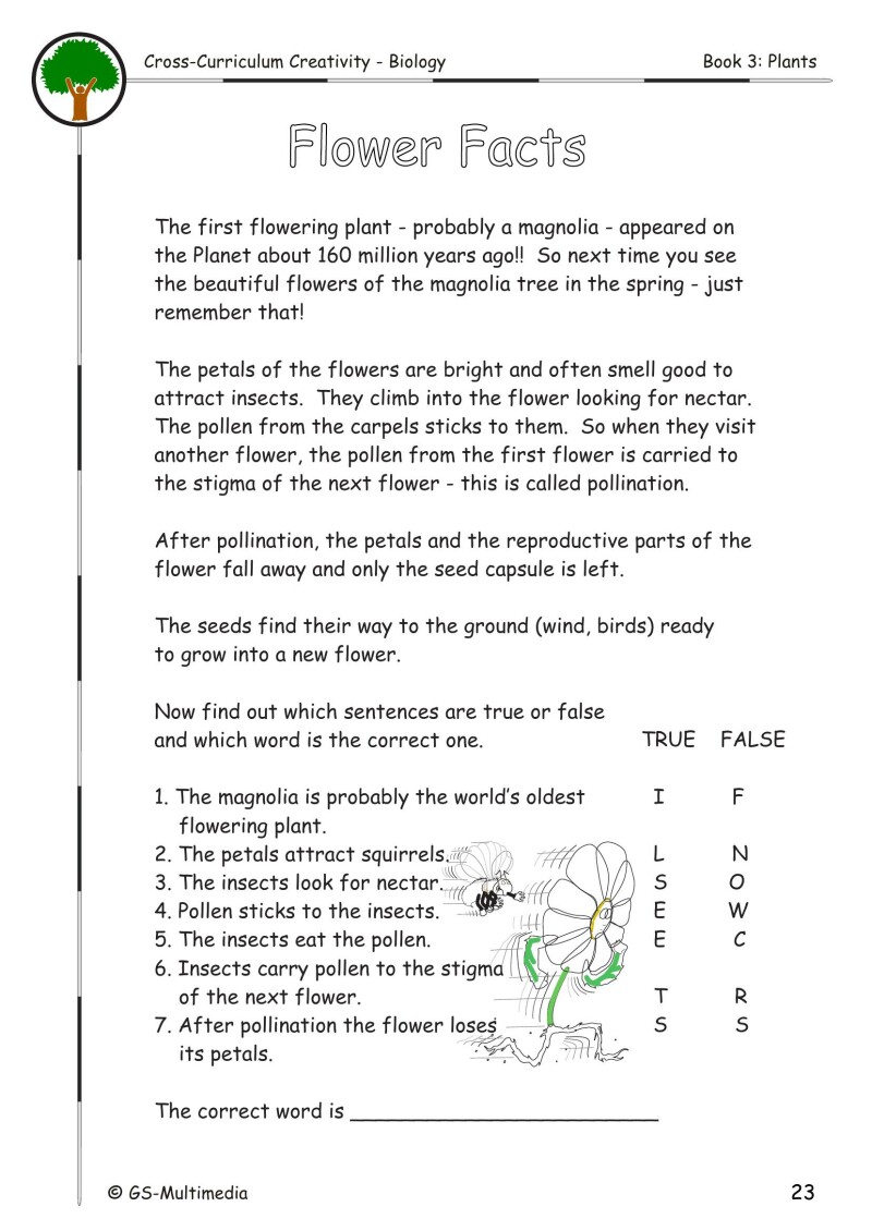 Cross Curriculum Creativity – Biology – Book 3: Plants