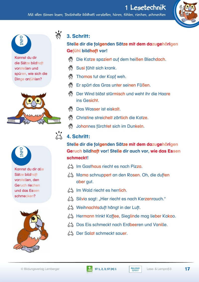 Lese- und Lernprofi 3 - Schulbuch NEU: Silbierte Ausgabe