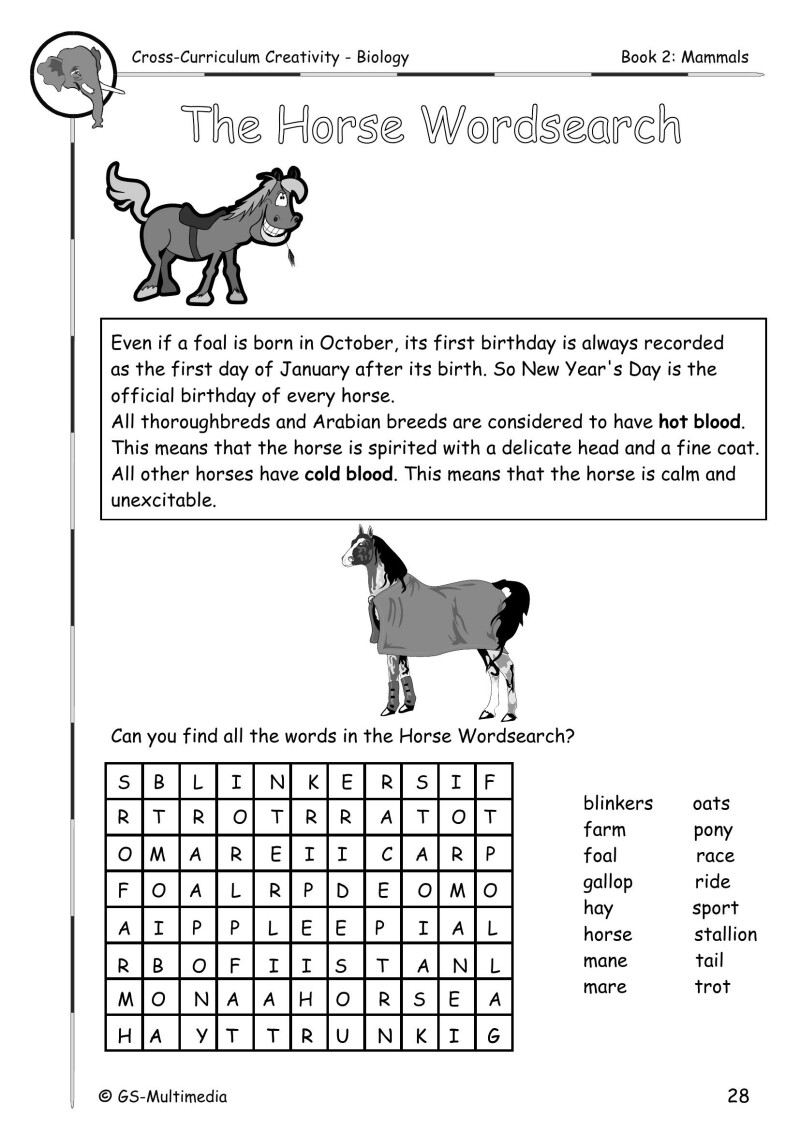 Cross Curriculum Creativity – Biology – Book 2: Mammals