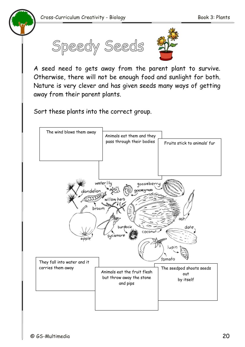Cross Curriculum Creativity – Biology – Book 3: Plants