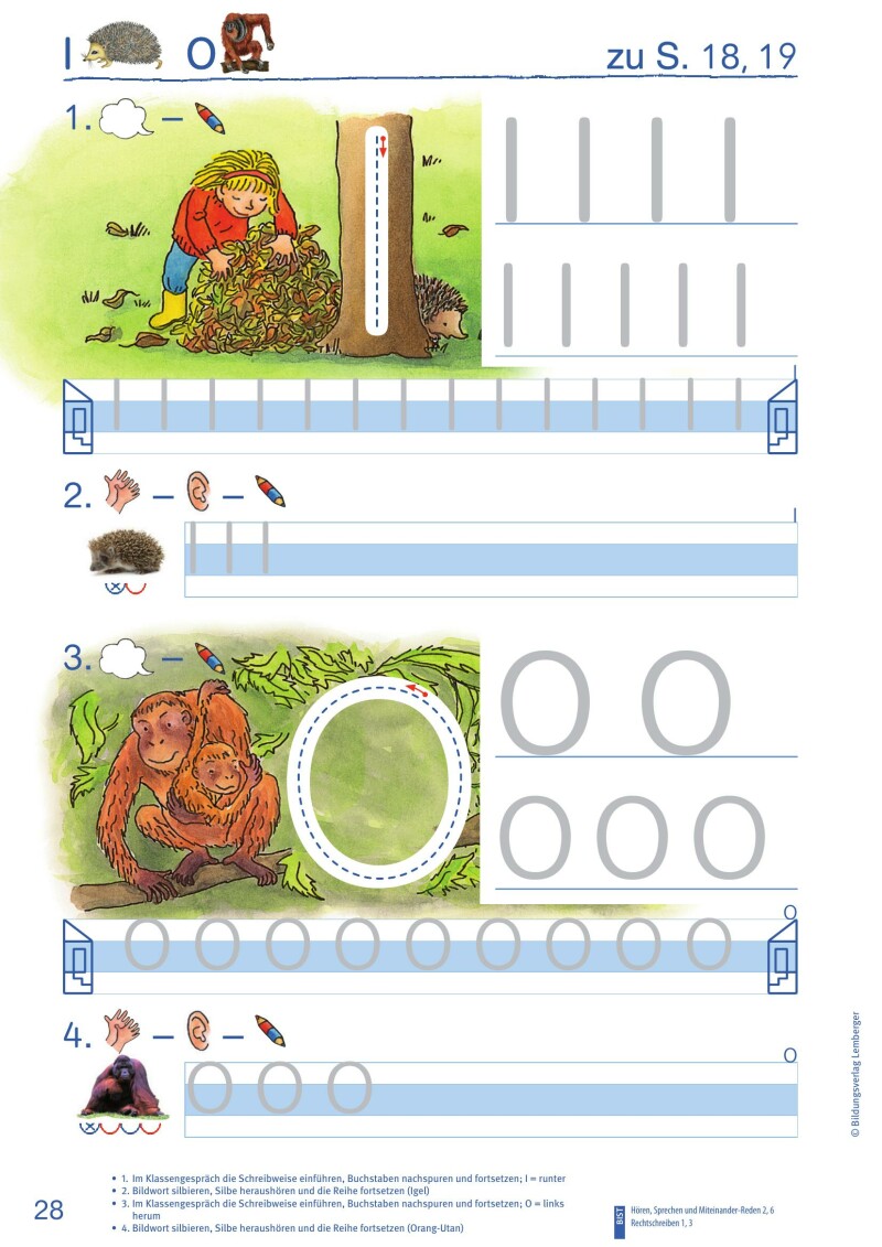 ABC der Tiere 1 - Schulbuch Kompaktausgabe: Schreiblehrgang - Teil A