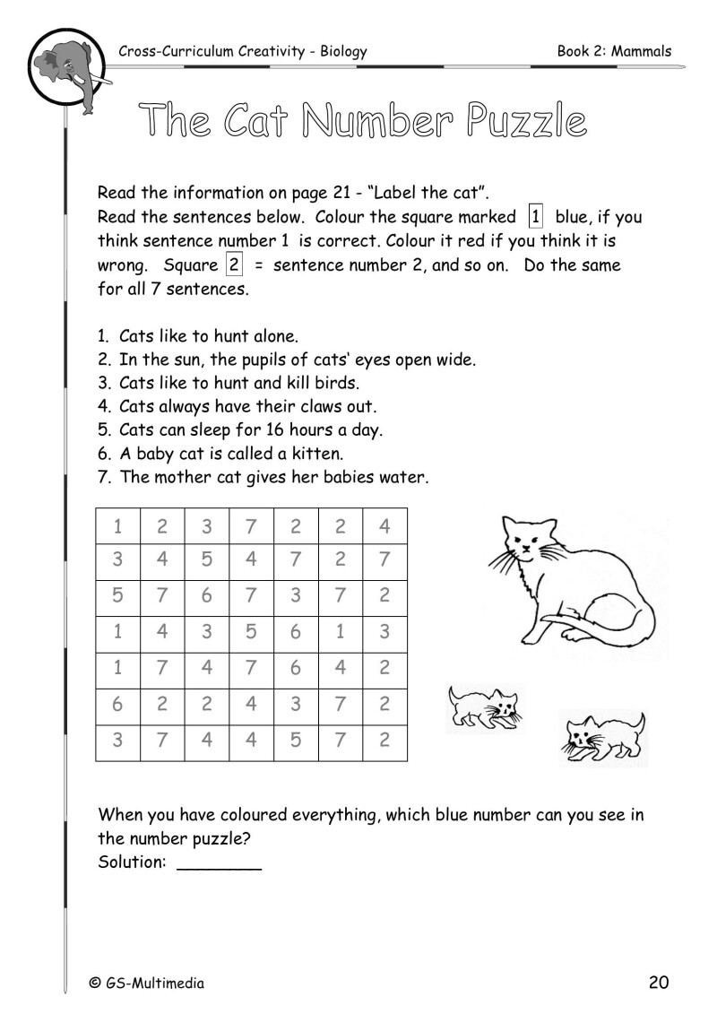 Cross Curriculum Creativity – Biology – Book 2: Mammals