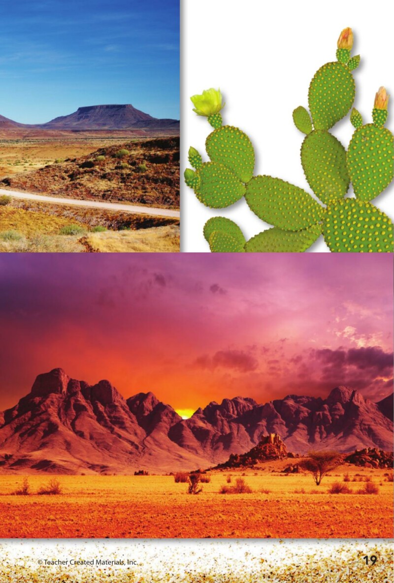 A1 – Step into the Desert