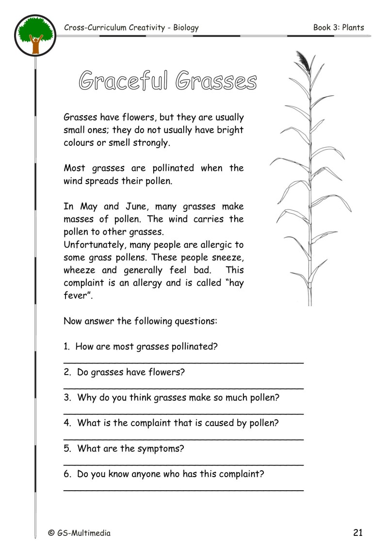 Cross Curriculum Creativity – Biology – Book 3: Plants