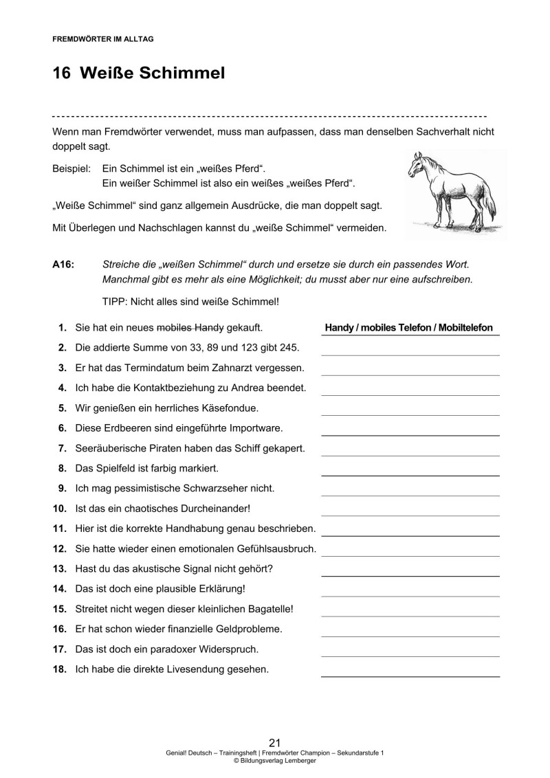 Genial! Deutsch – Trainingsheft Fremdwörter-Champion – Sek 1