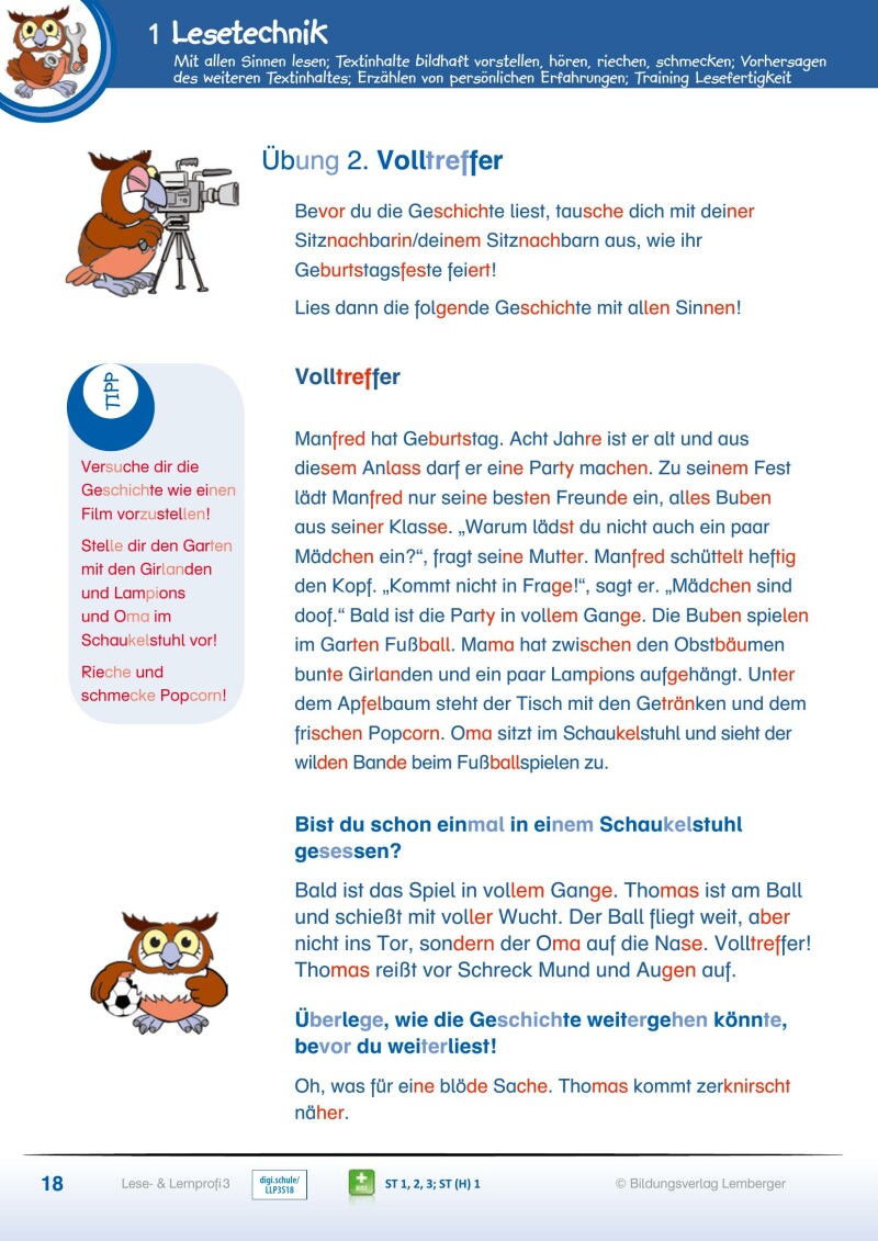 Lese- und Lernprofi 3 - Schulbuch NEU: Silbierte Ausgabe