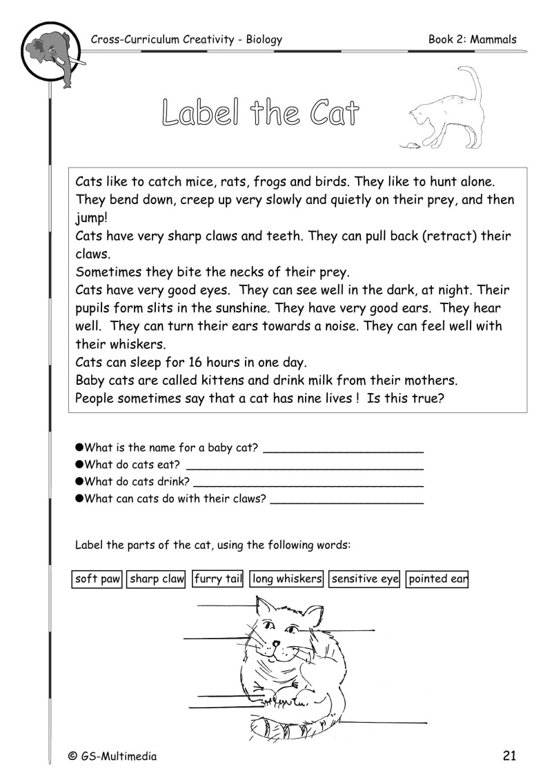 Cross Curriculum Creativity – Biology – Book 2: Mammals