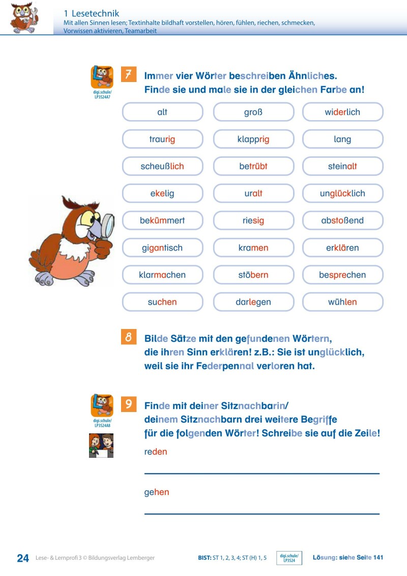 Lese- und Lernprofi 3 - Schulbuch: Silbierte Ausgabe_Version 3.1