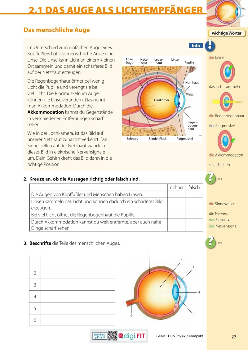Genial! DUO Physik 2 – KOMPAKT LP 23 v1.1 / Schulbuch