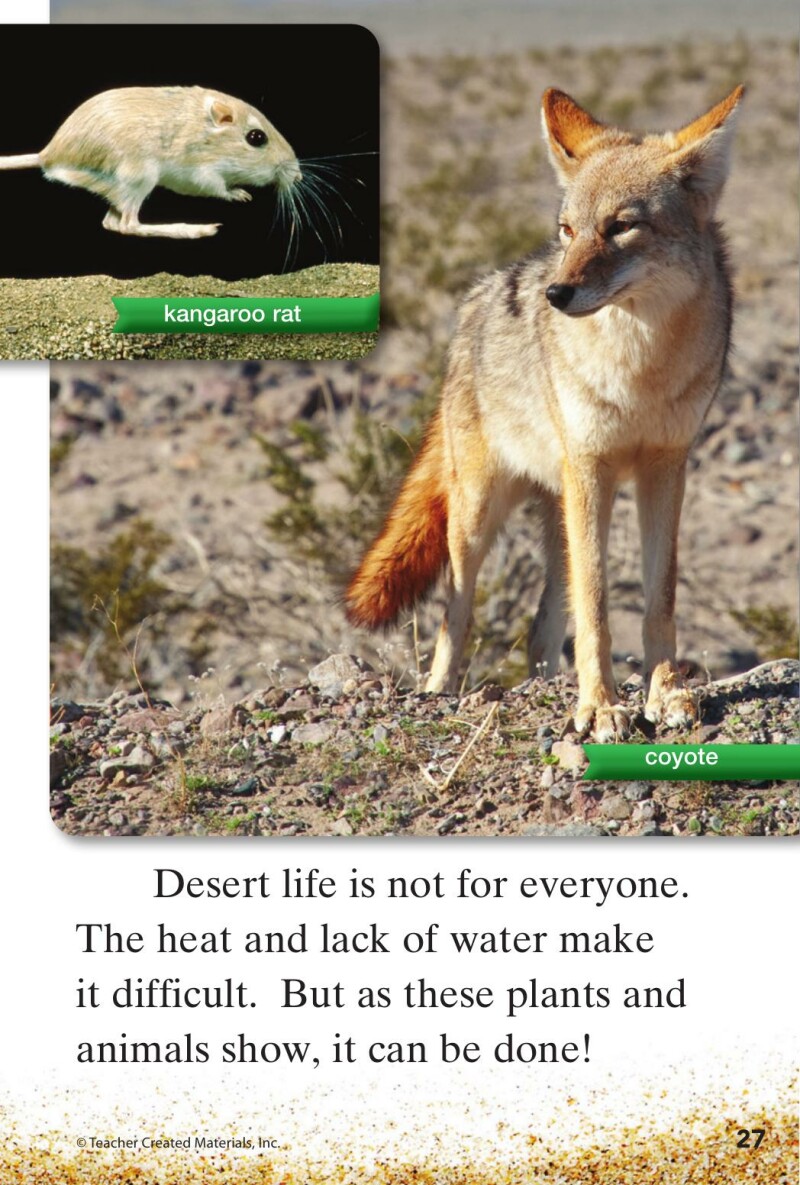 A1 – Step into the Desert