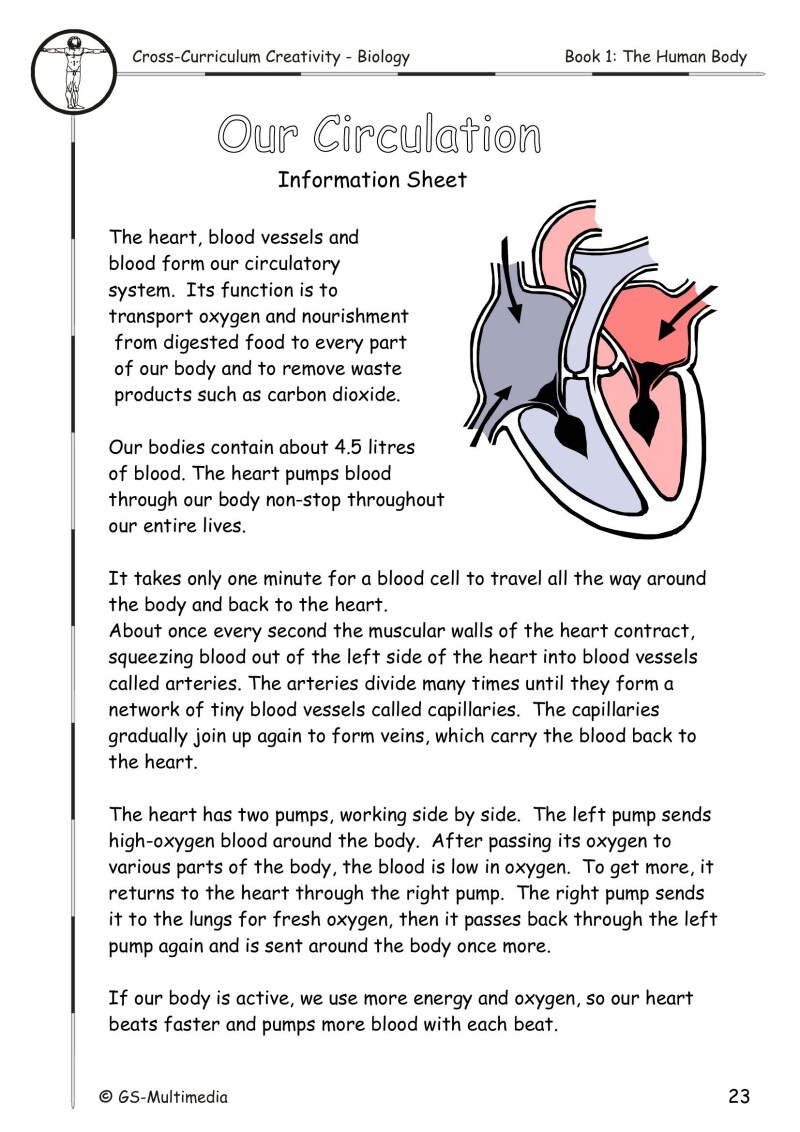 Cross Curriculum Creativity – Biology – Book 1: The Human Body