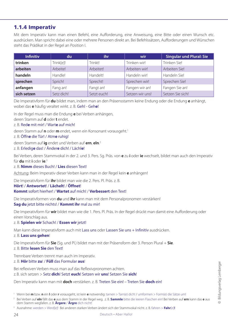 Deutsch - ABER HALLO! Grammatikübungen Oberstufe - Ausgabe für Österreich