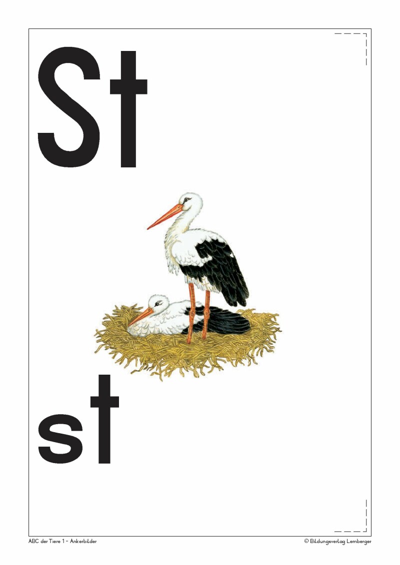 ABC der Tiere 1 - Schulbuch: Ankerbilder der Buchstaben