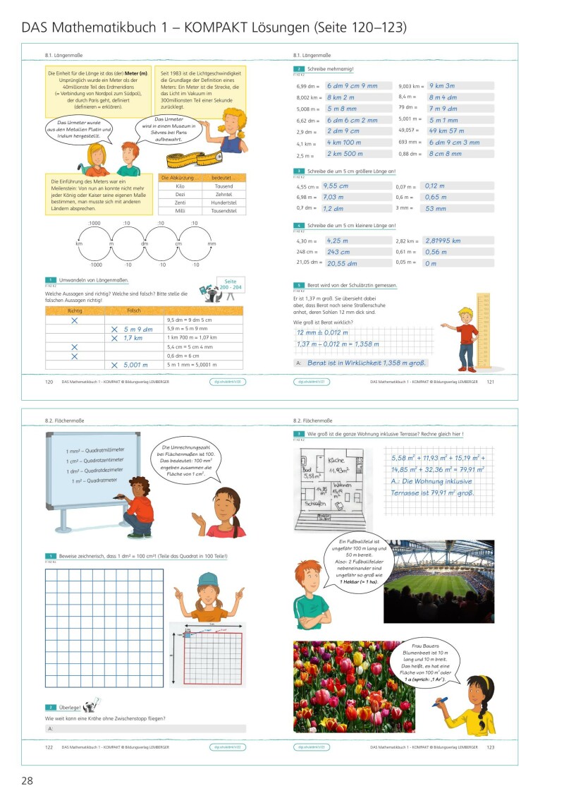 DAS Mathematikbuch 1 - KOMPAKT: Grundkompetenzen-Training - Lösungen