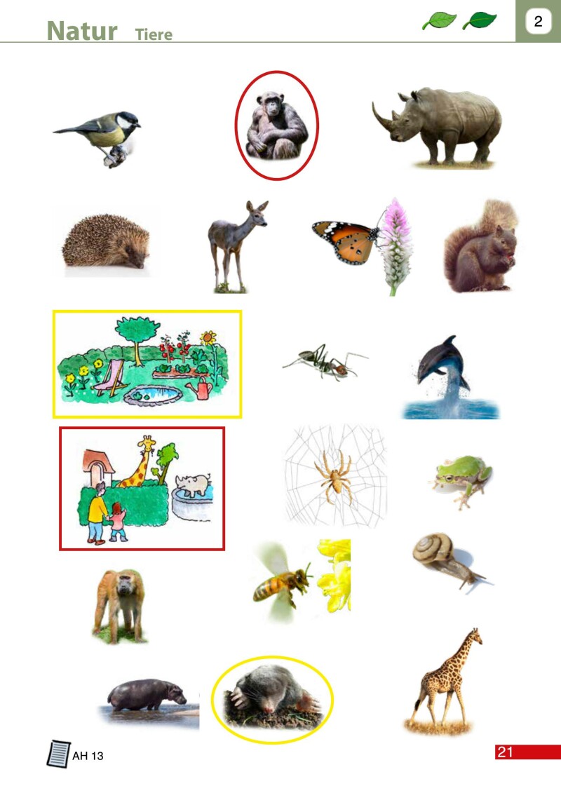 Dem Leben auf der Spur 1 LP’23 v1.1 / Schulbuch