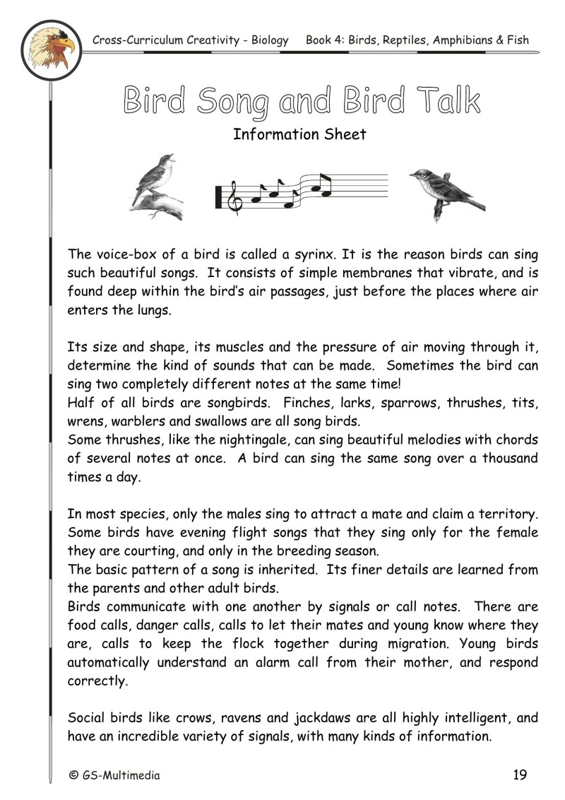 Cross Curriculum Creativity – Biology – Book 4: Birds, Reptiles, Amphibians and Fish