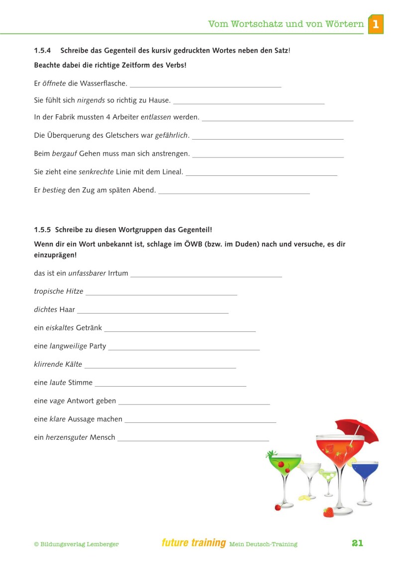 Kompetenz Lernen® - future training - Mein Deutsch-Training (mit Lösungen)