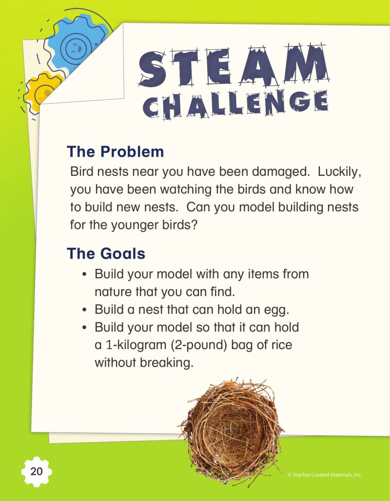 A1 – Helping Animals Learn