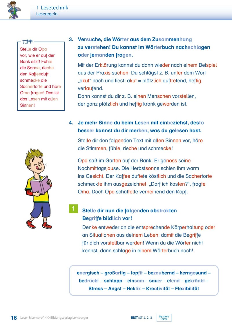 Lese- und Lernprofi 4 v3.1 / Schulbuch – silbierte Ausgabe