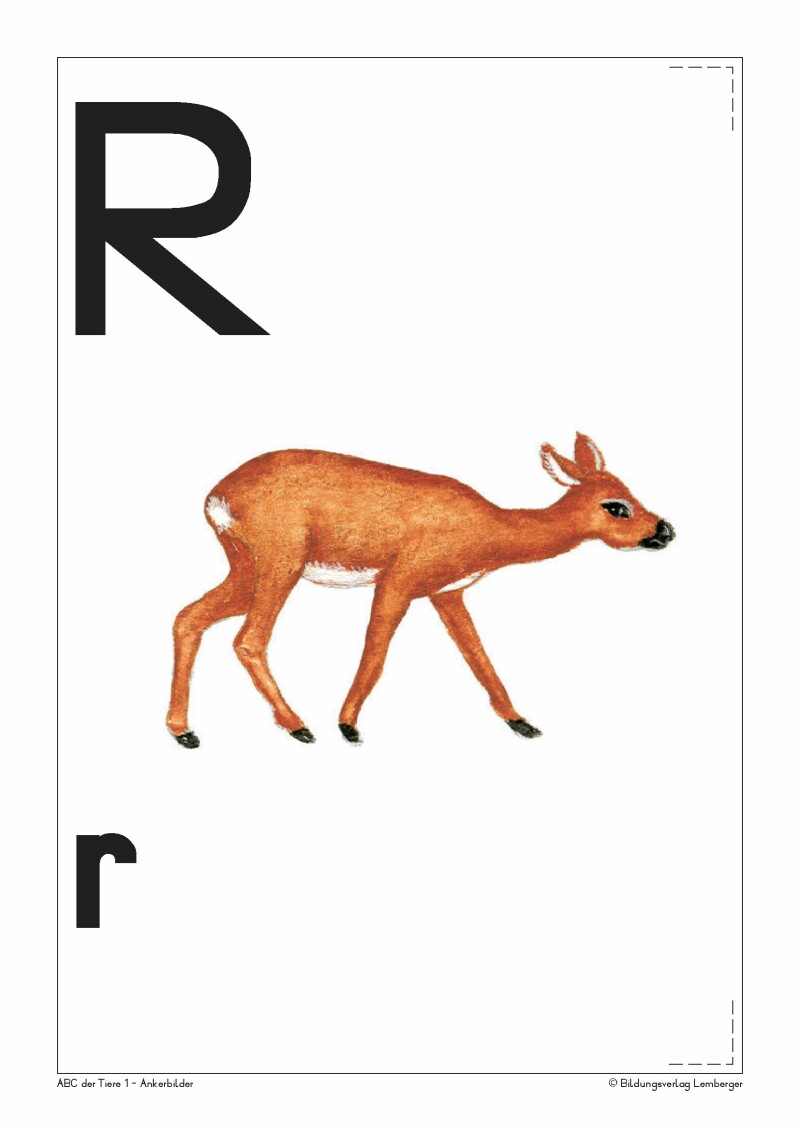 ABC der Tiere 1 - Schulbuch: Ankerbilder der Buchstaben