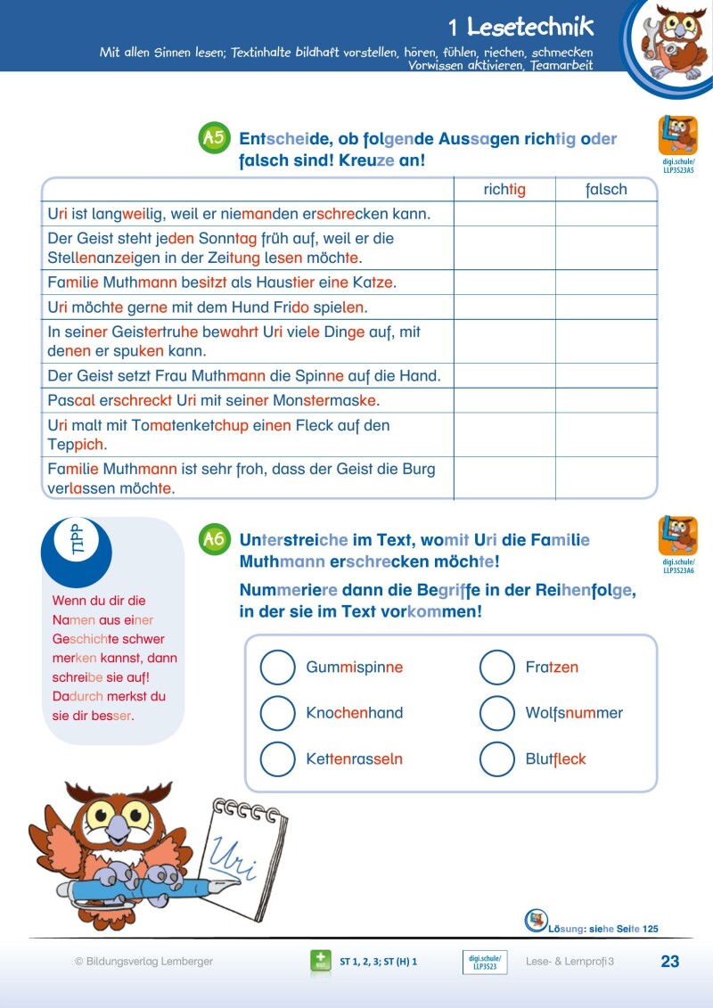 Lese- und Lernprofi 3 - Schulbuch NEU: Silbierte Ausgabe