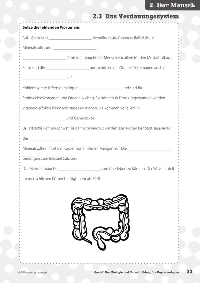 Genial! DUO Biologie 1_LP’23 – Kopiervorlagen