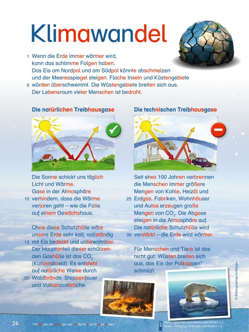 ABC der Tiere 3 - Schulbuch: Lesebuch NEU - Silbenausgabe