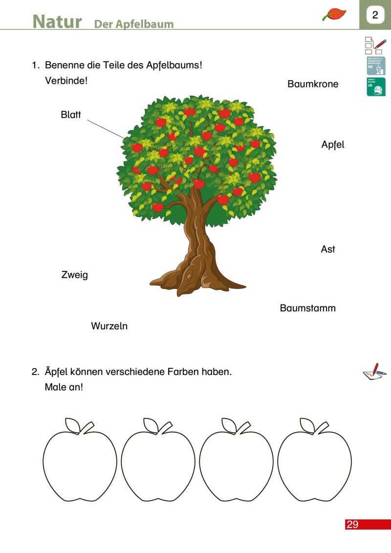 Dem Leben auf der Spur 1 LP’23 v1.1 / Schulbuch
