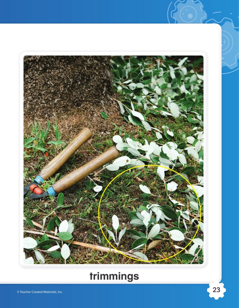 A1 – Helping Animals Learn