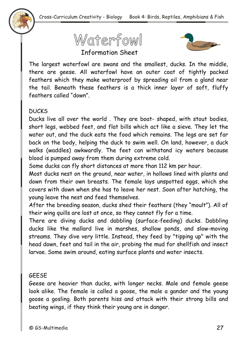 Cross Curriculum Creativity – Biology – Book 4: Birds, Reptiles, Amphibians and Fish