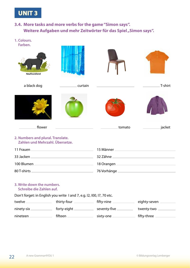 Modern English – A new Grammar4YOU_Band 1 (A1/A2) / mit allen Lösungen