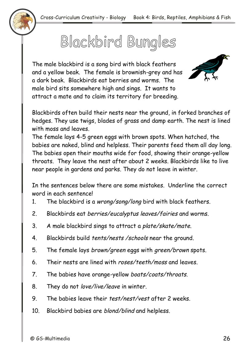 Cross Curriculum Creativity – Biology – Book 4: Birds, Reptiles, Amphibians and Fish