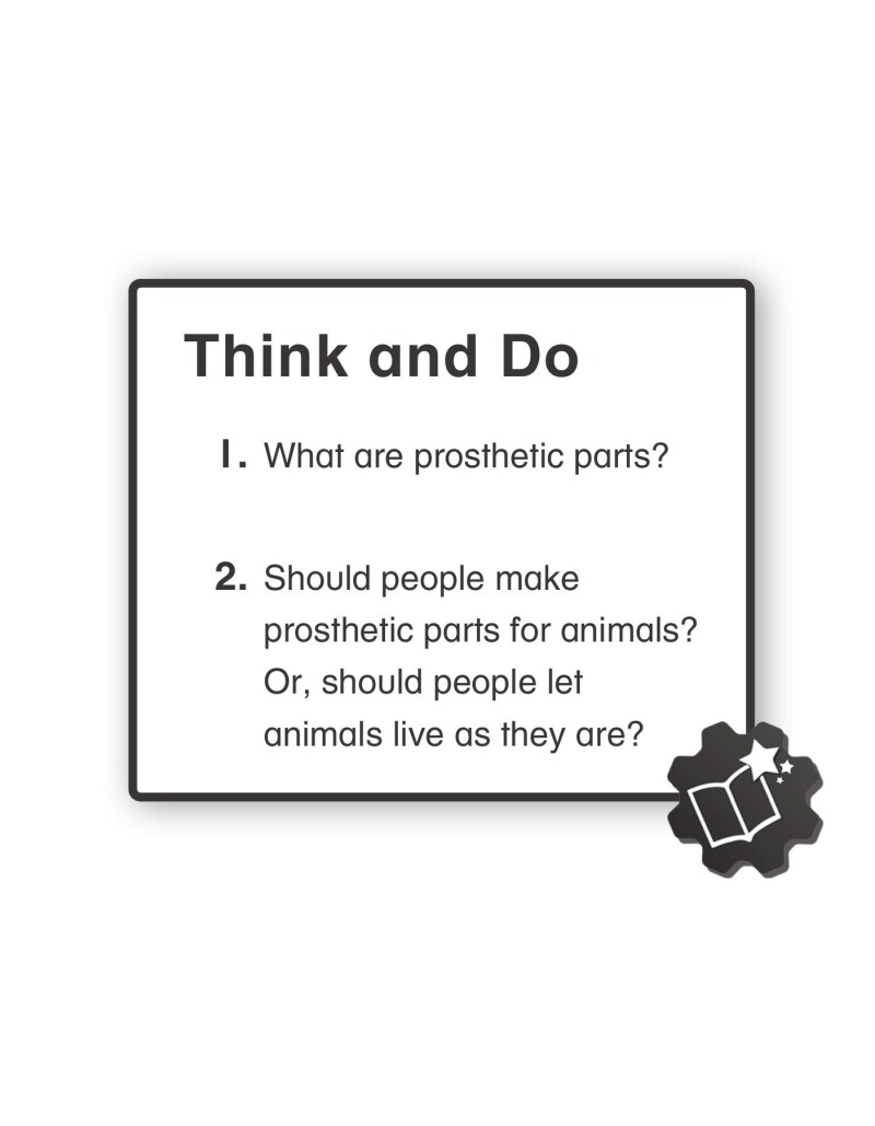 A1 – Helping Injured Animals