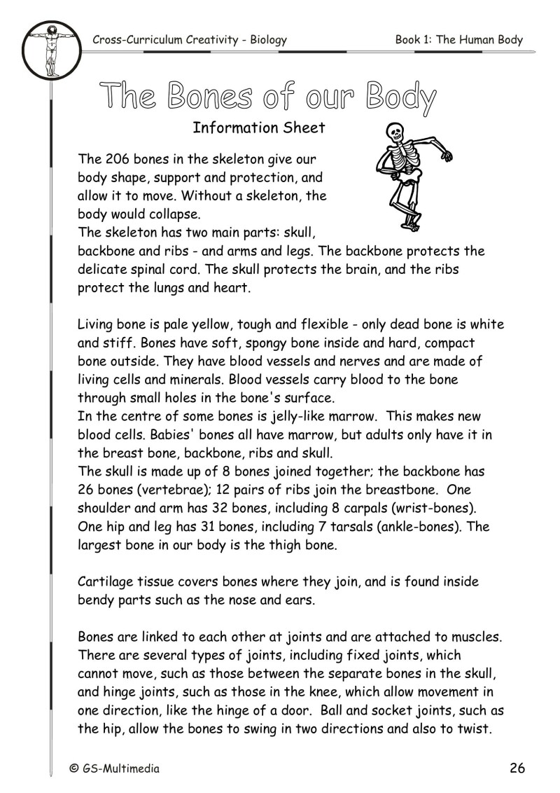 Cross Curriculum Creativity – Biology – Book 1: The Human Body