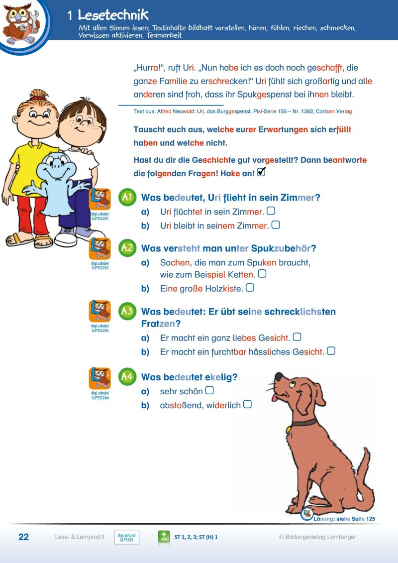 Lese- und Lernprofi 3 - Schulbuch NEU: Silbierte Ausgabe