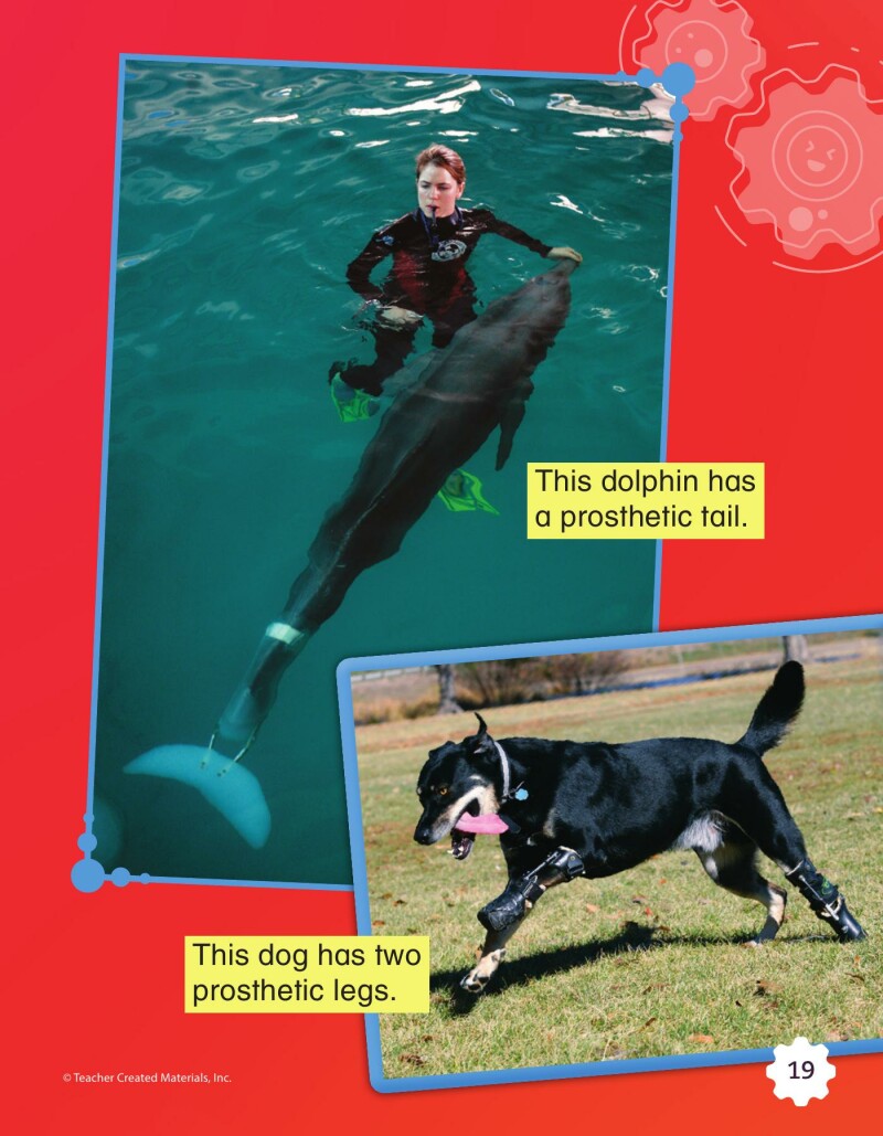 A1 – Helping Injured Animals