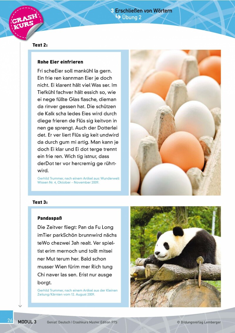 Genial! Deutsch - Crashkurs Lesen: Schulbuch Master Edition PTS