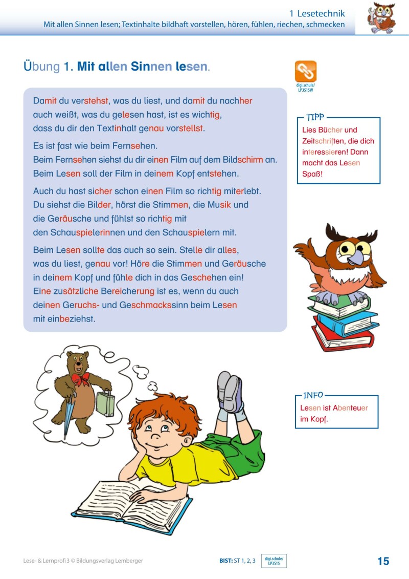 Lese- und Lernprofi 3 - Schulbuch: Silbierte Ausgabe_Version 3.1