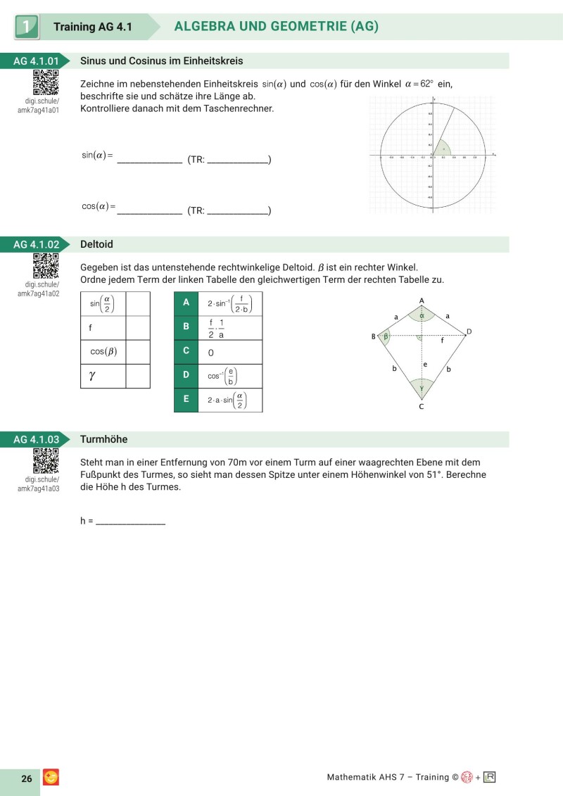 Grundkompetenzen Training Mathematik 11. Schulstufe mit Lösungsteil