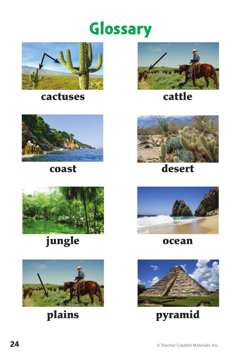 A1 – Next Stop: Mexico