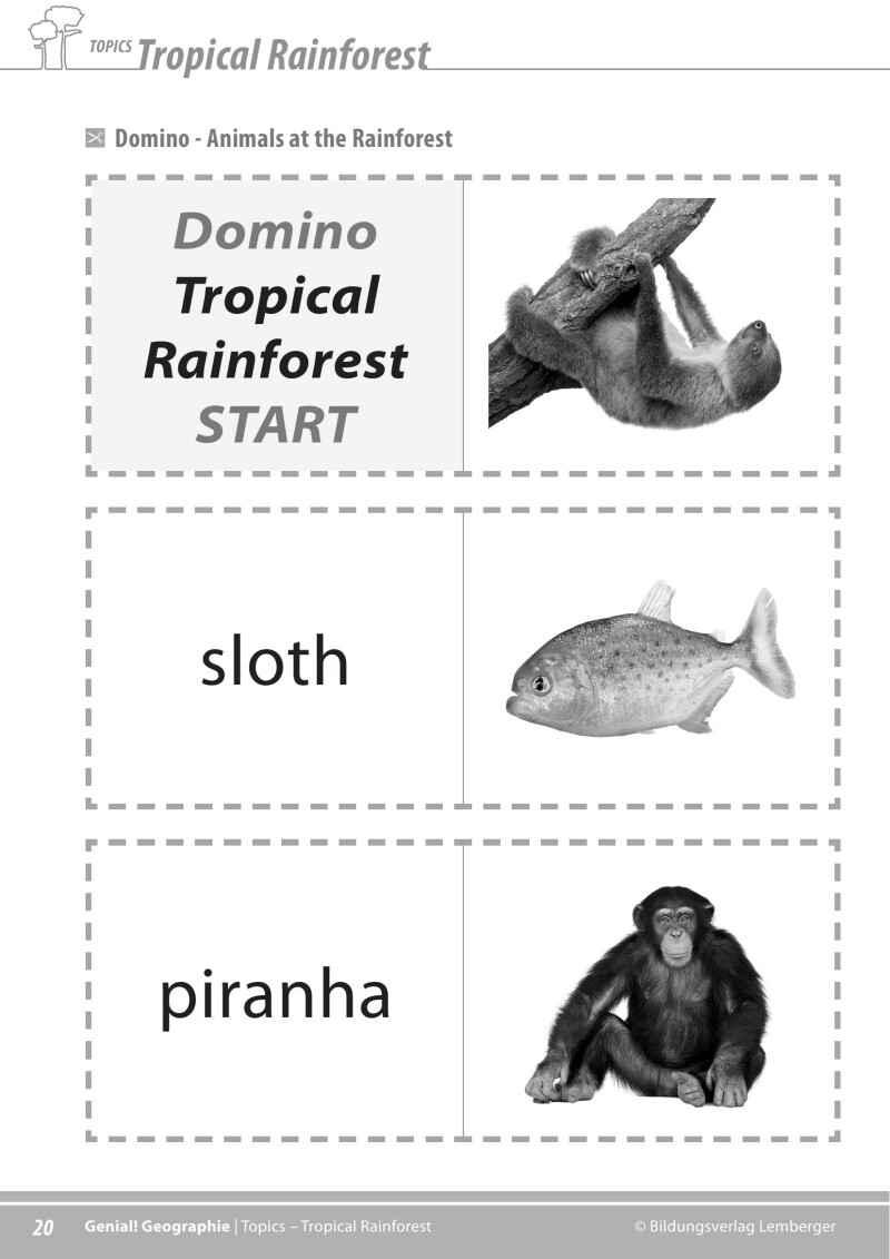 Genial! GW 1 – topics 1: Rainforest