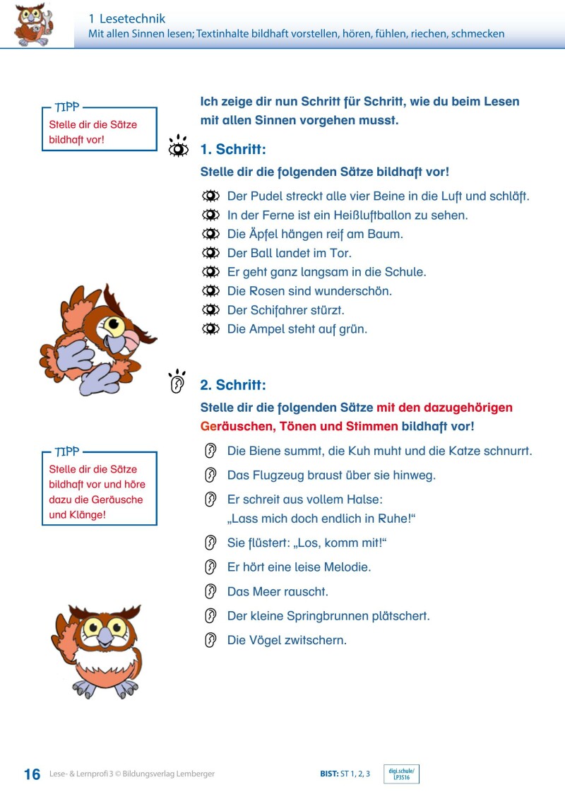 Lese- und Lernprofi 3 - Schulbuch_Version 3.1