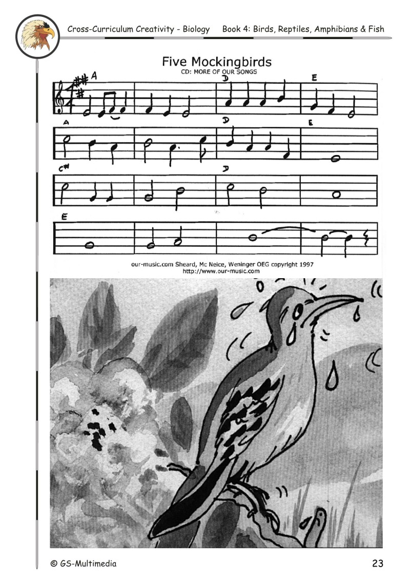 Cross Curriculum Creativity – Biology – Book 4: Birds, Reptiles, Amphibians and Fish