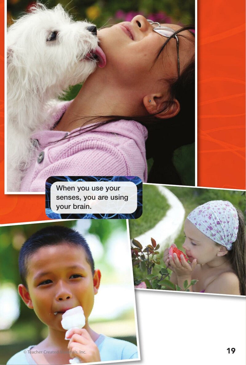 A1 – Look Inside: Your Brain