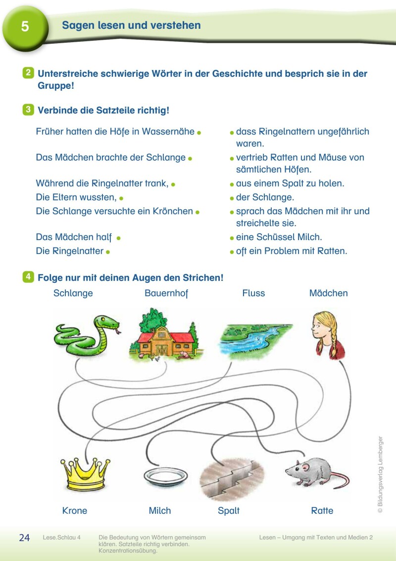 Lese.Schlau 4 - Lesebuch NEU